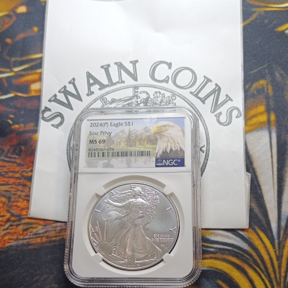 Silver Coin Earrings - Picture 1 of 3